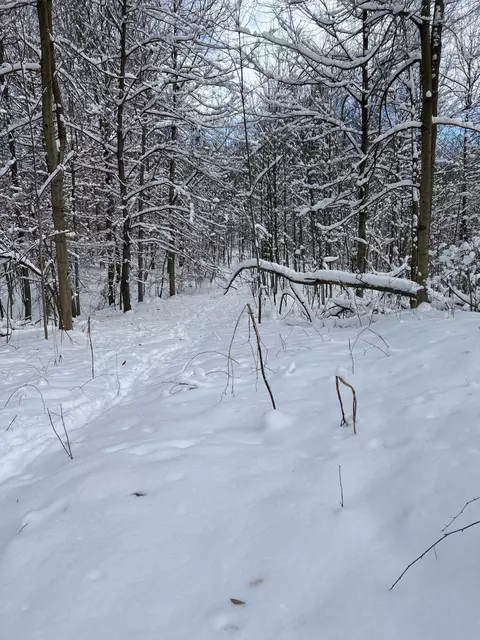 Other - Stuck Road, Marcellus, MI 49067 photo 22 of 24