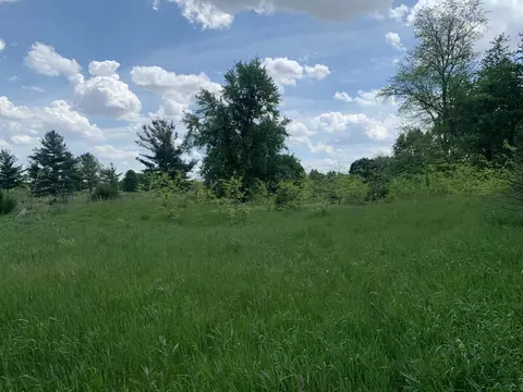 Brink Road, Bronson, MI 49028 photo 5