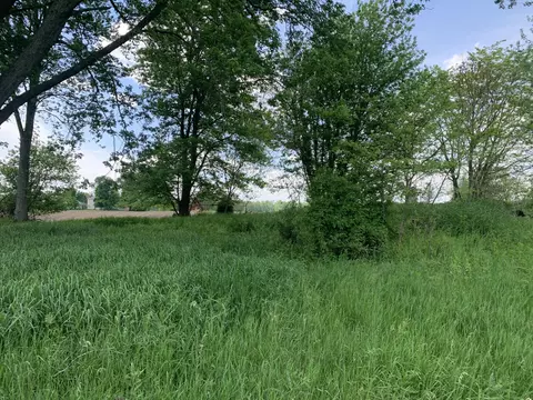 Brink Road, Bronson, MI 49028 photo 4