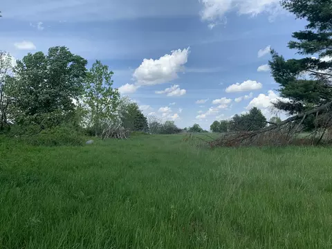 Brink Road, Bronson, MI 49028 photo 3