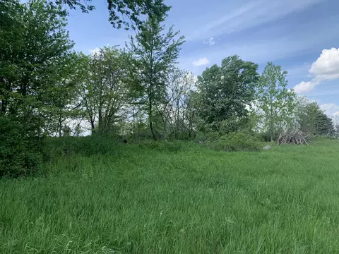 Brink Road, Bronson, MI 49028 photo 2