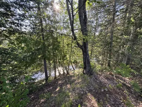 View/Area - E Procunier Road, Mikado, MI 48745 photo 15 of 15