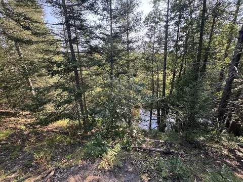 View/Area - E Procunier Road, Mikado, MI 48745 photo 12 of 15