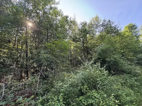 Exterior - E Procunier Road, Mikado, MI 48745 photo 11 of 31