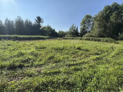 Exterior - E Procunier Road, Mikado, MI 48745 photo 1 of 31