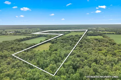 View/Area - 7560 W Chicago Rd, Allen, MI 49227 photo 9 of 12