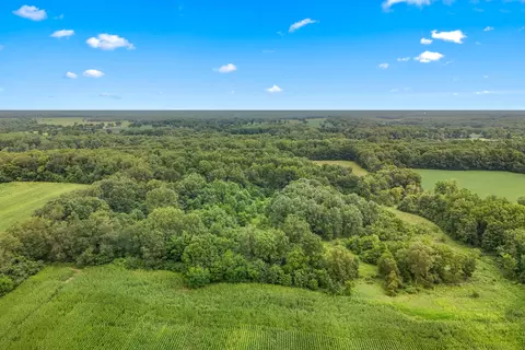 View/Area - 7560 W Chicago Rd, Allen, MI 49227 photo 10 of 12