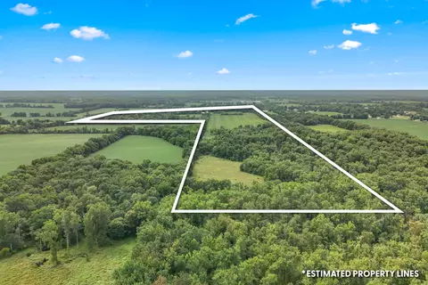View/Area - 7560 W Chicago Rd, Allen, MI 49227 photo 8 of 12