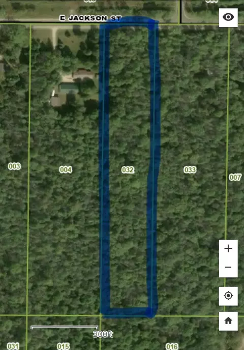 Other - V/l E Jackson Street, White Cloud, MI 49349 photo 5 of 13