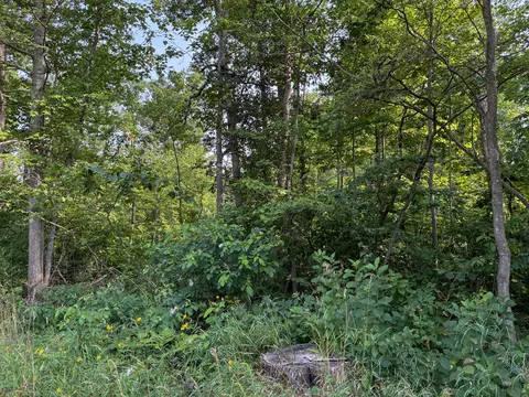 Exterior - V/l E Jackson Street, White Cloud, MI 49349 photo 12 of 13