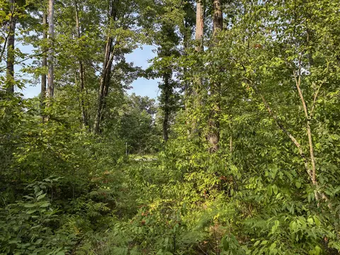 Exterior - V/l E Jackson Street, White Cloud, MI 49349 photo 11 of 13