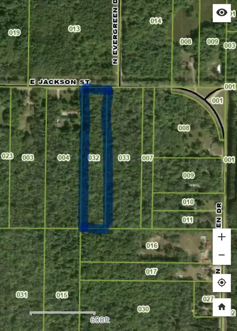 Other - V/l E Jackson Street, White Cloud, MI 49349 photo 4 of 13