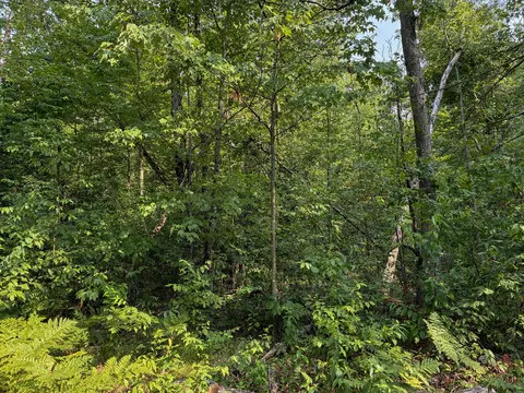 Exterior - V/l E Jackson Street, White Cloud, MI 49349 photo 10 of 13