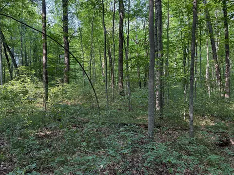 Other - V/l E Jackson Street, White Cloud, MI 49349 photo 8 of 13