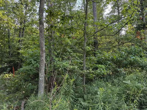 Exterior - V/l E Jackson Street, White Cloud, MI 49349 photo 8 of 13