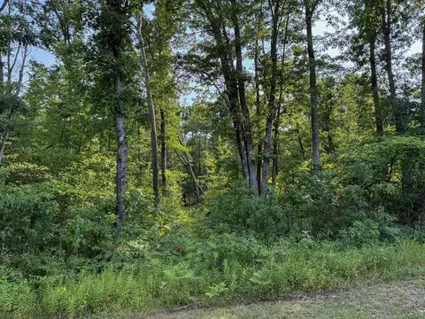 Exterior - V/l E Jackson Street, White Cloud, MI 49349 photo 7 of 13