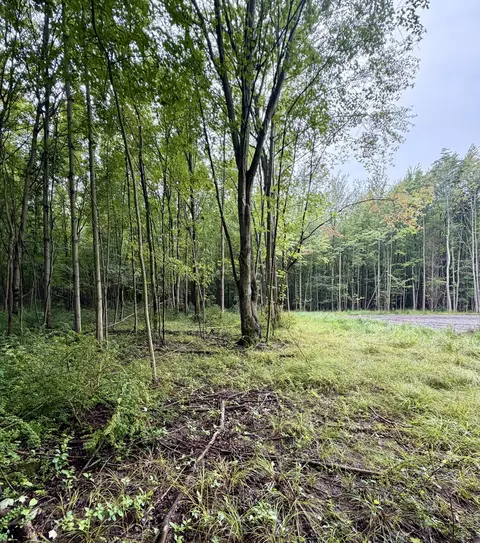 lot6 Christopher Ln, South Haven, MI 49090