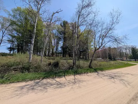 4831 E Sippy Rd, Custer, MI 49405 photo 35