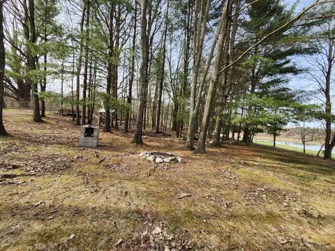 4831 E Sippy Rd, Custer, MI 49405 photo 6