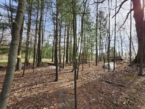4831 E Sippy Rd, Custer, MI 49405 photo 30