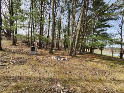 4831 E Sippy Rd, Custer, MI 49405 photo 16