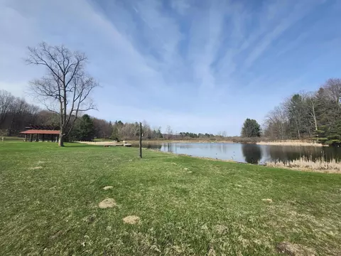 4831 E Sippy Rd, Custer, MI 49405 photo 32