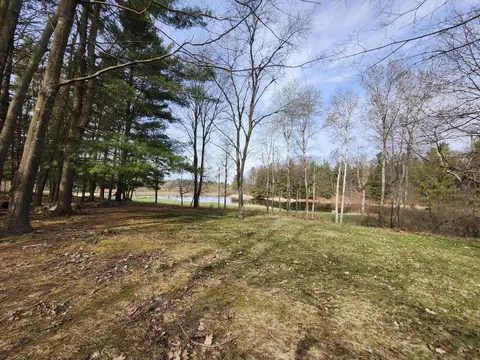4831 E Sippy Rd, Custer, MI 49405 photo 19