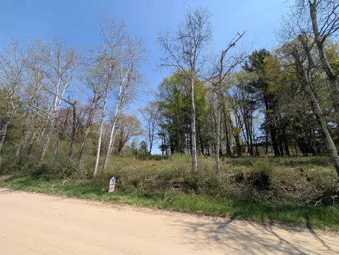 4831 E Sippy Rd, Custer, MI 49405 photo 34
