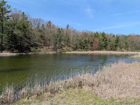 4831 E Sippy Rd, Custer, MI 49405 photo 38
