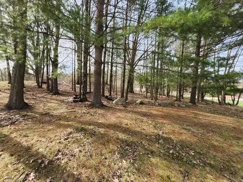 4831 E Sippy Rd, Custer, MI 49405 photo 20