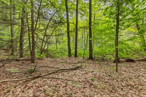 Exterior - V/l W Stanton, Stanton, MI 48888 photo 15 of 17