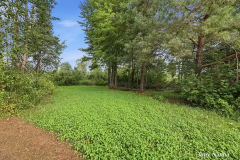 Exterior - 355 N Shaw Rd, Bailey, MI 49303 photo 15 of 17