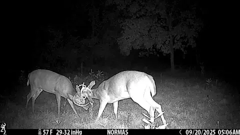 Other - 355 N Shaw Rd, Bailey, MI 49303 photo 14 of 15