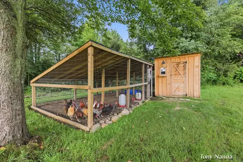 Exterior - 355 N Shaw Rd, Bailey, MI 49303 photo 8 of 17