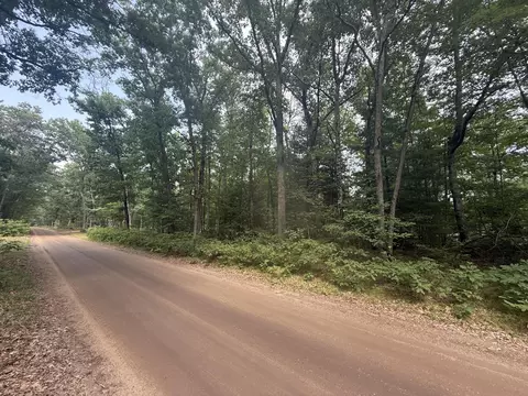 12 Th Ave, Bitely, MI 49309 photo 5