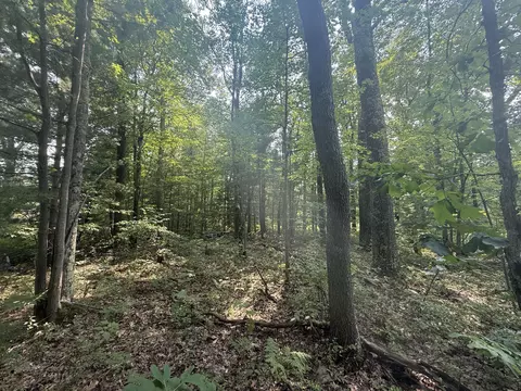 12 Th Ave, Bitely, MI 49309 photo 3