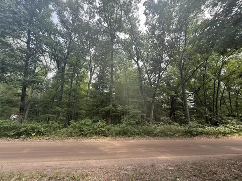 12 Th Ave, Bitely, MI 49309 photo 4