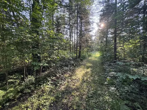 Channel Lake Road, West Branch, MI 48661