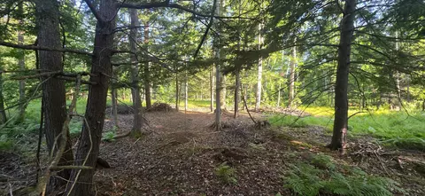 10 E Acres E Free Soil Rd, Free Soil, MI 49411