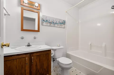Bath - 2038 E Bristol Rd E, Dowling, MI 49050 photo 4 of 4