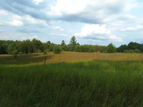 0 Lakola Road, Leroy, MI 49655