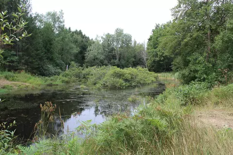 View/Area - V/l E Chauvez Road, Custer, MI 49405 photo 3 of 5