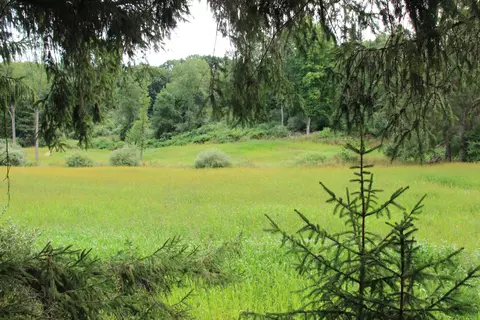 Other - V/l E Chauvez Road, Custer, MI 49405 photo 21 of 27