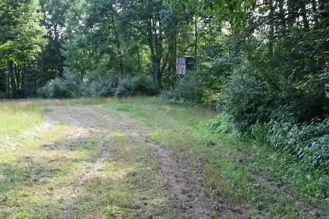 Exterior - V/l E Chauvez Road, Custer, MI 49405 photo 7 of 9