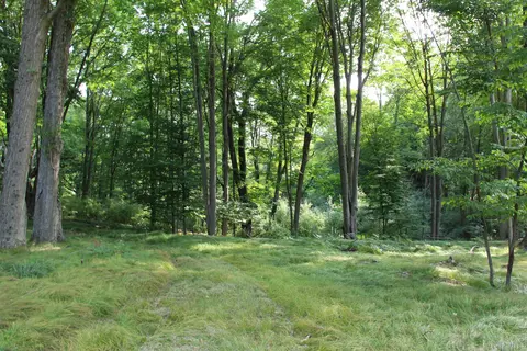 Exterior - V/l E Chauvez Road, Custer, MI 49405 photo 5 of 9
