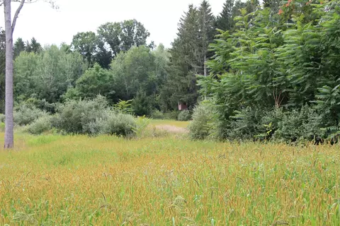 Other - V/l E Chauvez Road, Custer, MI 49405 photo 25 of 27