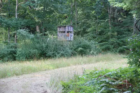 Other - V/l E Chauvez Road, Custer, MI 49405 photo 10 of 27
