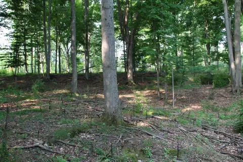 Other - V/l E Chauvez Road, Custer, MI 49405 photo 13 of 27
