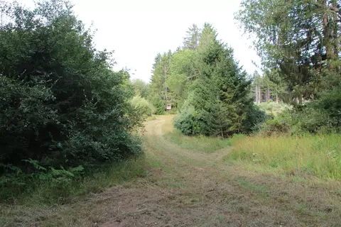 Other - V/l E Chauvez Road, Custer, MI 49405 photo 16 of 27