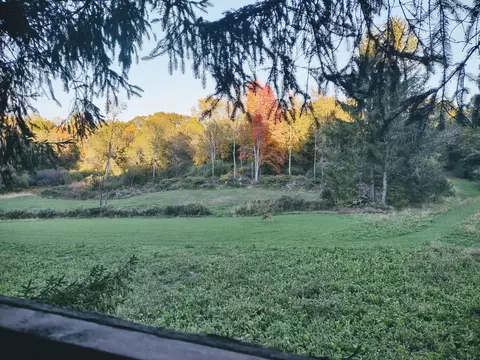 Exterior - V/l E Chauvez Road, Custer, MI 49405 photo 2 of 9